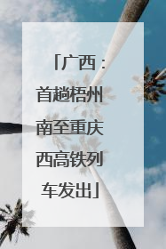 广西：首趟梧州南至重庆西高铁列车发出