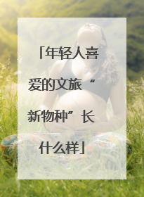 年轻人喜爱的文旅“新物种”长什么样