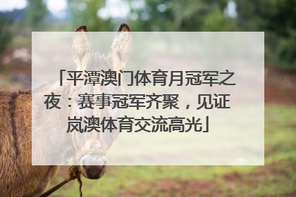 平潭澳门体育月冠军之夜：赛事冠军齐聚，见证岚澳体育交流高光