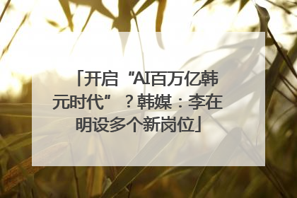 开启“AI百万亿韩元时代”？韩媒：李在明设多个新岗位