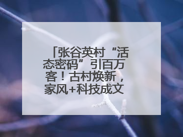 张谷英村“活态密码”引百万客！古村焕新，家风+科技成文旅融合新爆点