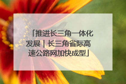 推进长三角一体化发展｜长三角省际高速公路网加快成型