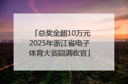 总奖金超10万元 2025年浙江省电子体育大赛圆满收官