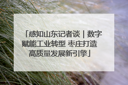 感知山东记者谈｜数字赋能工业转型 枣庄打造高质量发展新引擎