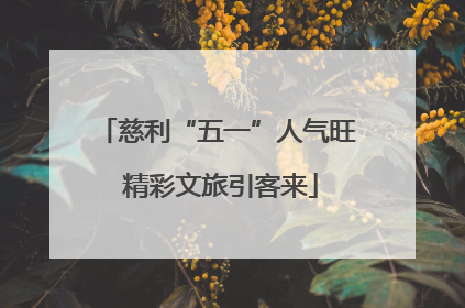 慈利“五一”人气旺 精彩文旅引客来