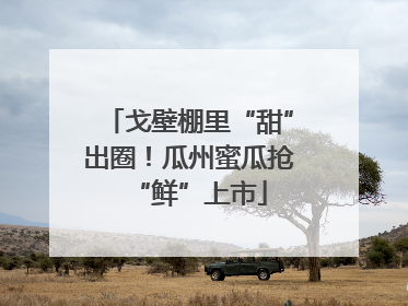戈壁棚里“甜”出圈！瓜州蜜瓜抢“鲜”上市