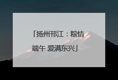 扬州邗江：粽情端午 爱满东兴