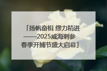 扬帆奋楫 缪力精进——2025威海刺参春季开捕节盛大启幕