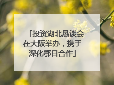投资湖北恳谈会在大阪举办，携手深化鄂日合作