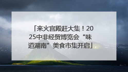 来火宫殿赶大集！2025中非经贸博览会“味道湖南”美食市集开启