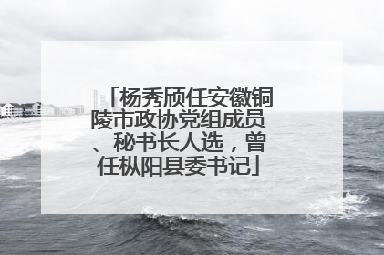 杨秀颀任安徽铜陵市政协党组成员、秘书长人选，曾任枞阳县委书记