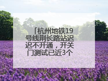 杭州地铁19号线荆长路站迟迟不开通，开关门测试已近3个月？回应来了