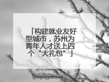 构建就业友好型城市，苏州为青年人才送上四个“大礼包”