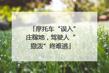 摩托车“误入”庄稼地，驾驶人“撒泼”终难逃