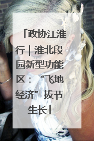政协江淮行｜淮北段园新型功能区：“飞地经济”拔节生长