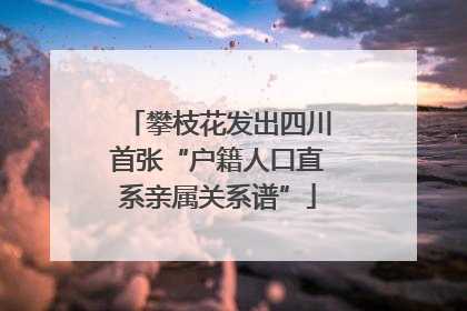 攀枝花发出四川首张“户籍人口直系亲属关系谱”