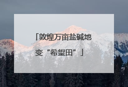 敦煌万亩盐碱地变“希望田”