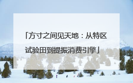 方寸之间见天地：从特区试验田到提振消费引擎
