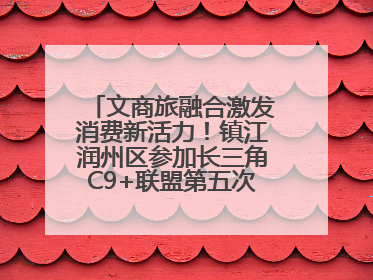 文商旅融合激发消费新活力！镇江润州区参加长三角C9+联盟第五次联席会议