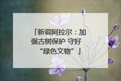 新疆阿拉尔：加强古树保护 守好“绿色文物”