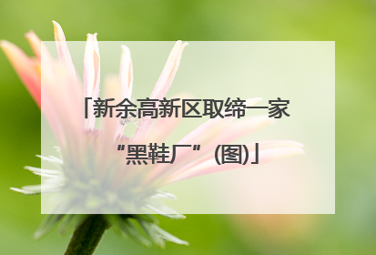 新余高新区取缔一家“黑鞋厂”(图)