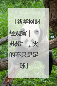 新华网财经观察｜“苏超”，火的不只是足球