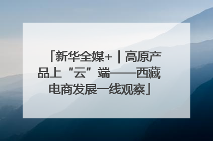 新华全媒+｜高原产品上“云”端——西藏电商发展一线观察