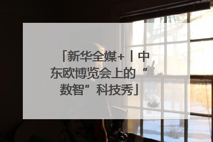 新华全媒+丨中东欧博览会上的“数智”科技秀