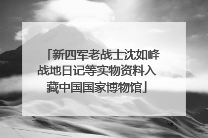 新四军老战士沈如峰战地日记等实物资料入藏中国国家博物馆