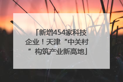 新增454家科技企业！天津“中关村”构筑产业新高地