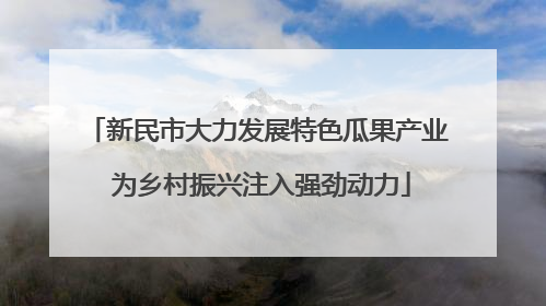 新民市大力发展特色瓜果产业 为乡村振兴注入强劲动力