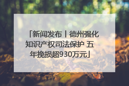 新闻发布丨德州强化知识产权司法保护 五年挽损超930万元