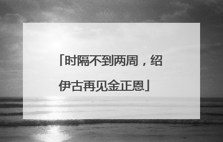 时隔不到两周，绍伊古再见金正恩