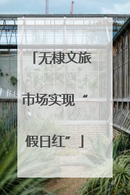 无棣文旅市场实现“假日红”