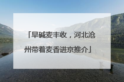 旱碱麦丰收，河北沧州带着麦香进京推介