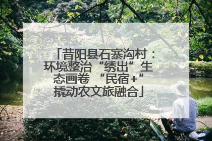 昔阳县石寨沟村：环境整治“绣出”生态画卷 “民宿+”撬动农文旅融合