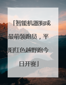 智能机器狗成最萌领跑员，平阳红色越野跑今日开赛