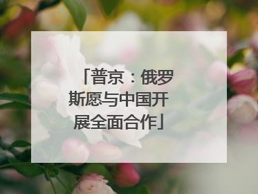 普京：俄罗斯愿与中国开展全面合作