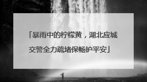 暴雨中的柠檬黄，湖北应城交警全力疏堵保畅护平安