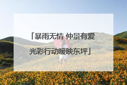 暴雨无情 仲景有爱 光彩行动暖映东坪