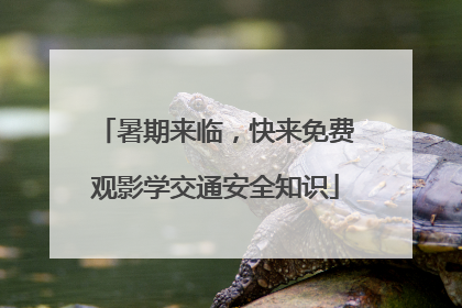 暑期来临，快来免费观影学交通安全知识