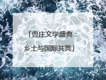 曹庄文学盛典：乡土与国际共舞