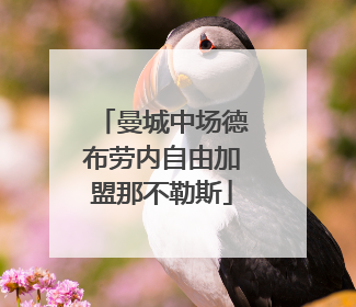曼城中场德布劳内自由加盟那不勒斯