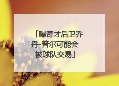 曝奇才后卫乔丹-普尔可能会被球队交易