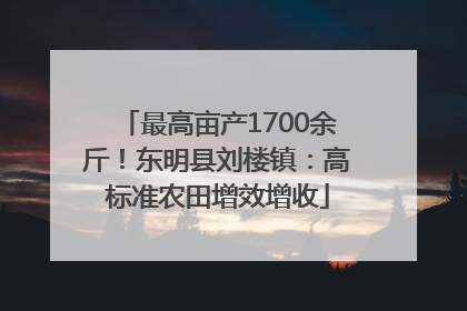 最高亩产1700余斤！东明县刘楼镇：高标准农田增效增收