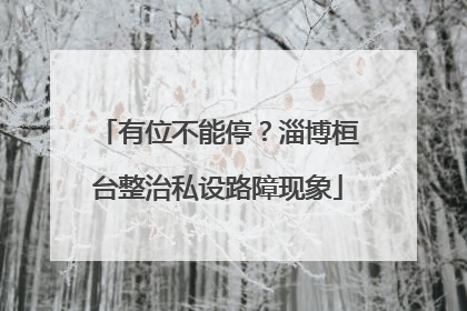 有位不能停？淄博桓台整治私设路障现象