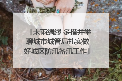 未雨绸缪 多措并举 聊城市城管局扎实做好城区防汛备汛工作