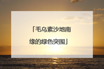 毛乌素沙地南缘的绿色突围