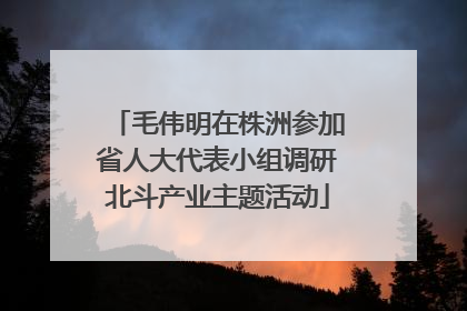 毛伟明在株洲参加省人大代表小组调研北斗产业主题活动