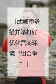 武威市多措并举打好优化营商环境“组合拳”